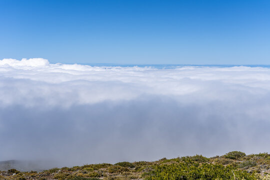 Temperature inversion. Leleiwi Overlook Trail, Haleakalā National Park, Maui, Hawaii. A sea of clouds is an overcast layer of stratocumulus clouds.
 - Powered by Adobe
