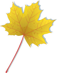 Hand-drawn gold autumn colored single maple leaf isolated on white background. Flat line style vector illustration. 