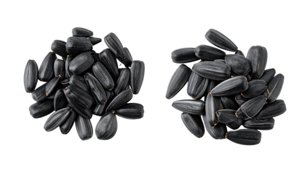 Pair of Sunflower Seed Variations isolated on transparent background