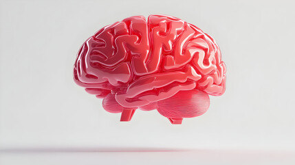 3D Render of a Glossy Pink Human Brain on White Background