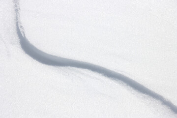 Wavy line in plain white snow background
