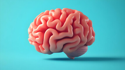 3D Render of a Pink Human Brain on a Light Blue Background