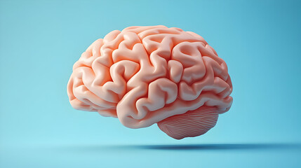 3D Render of a Pink Human Brain on a Light Blue Background