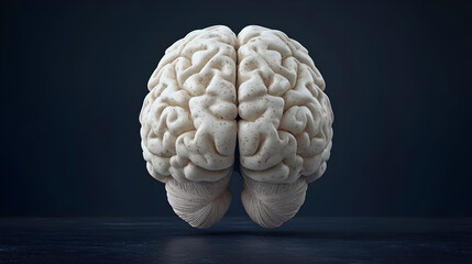 3D Render of a White Human Brain on Dark Background