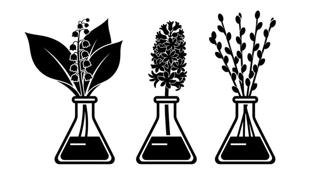 Black and white flowers in beakers vector illustration graphic vector