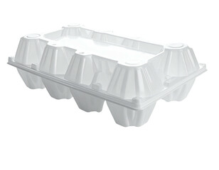 Plastic, transparent, six-egg carton container, closed