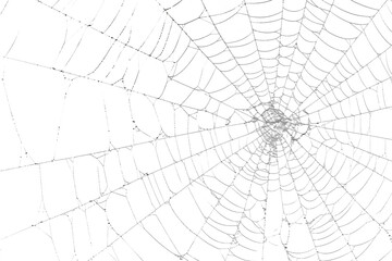 Spiderweb with intricate design, creating a delicate pattern