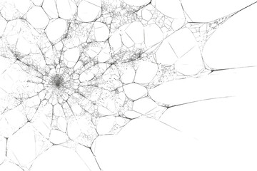 Detailed spiderweb pattern with radial symmetry