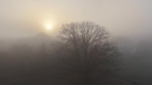 Misty morning ascending drone,aerial High beach Epping forest