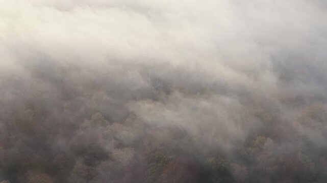 Foggy morning over Epping forest Essex Uk drone,aerial