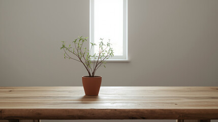 Young Potted Tree Branch on a Sunny Wooden Surface