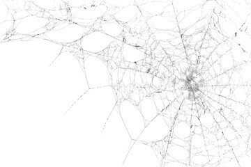 Spiderweb, a delicate and intricate natural structure