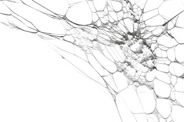 Spiderweb with intricate patterns and details