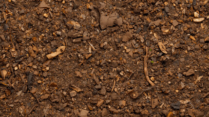 Detailed Full Frame of Mulch and Dirt Mixture