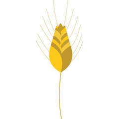 Golden Wheat Stalk With Delicate Spikes Against A White Backdrop Representing Agriculture And Harvest