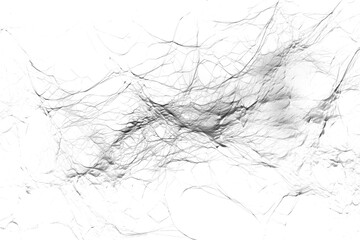 Abstract black lines create a dynamic and textured pattern