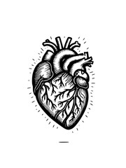 Fototapeta premium hand draw heart. cartoon illustration