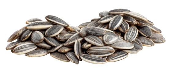 A close-up view of a scattered pile of sunflower seeds on a white background, showcasing their striped shells and natural texture, ideal for culinary or agricultural themes