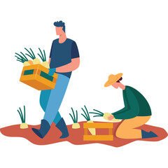 Farmers Harvesting Fresh Onions in a Field on a Sunny Day with One Farmer Carrying a Crate Full of Produce and the Other Kneeling to Pick Onions in a Rural Setting
