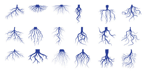 Collection of Diverse Blue Tree Root Systems on White Background