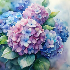 hydrangea ,illustration watercolor background