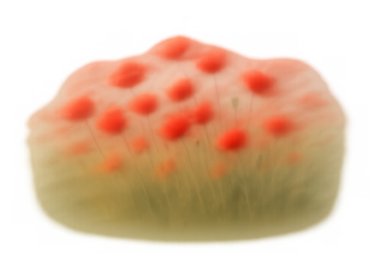 Impressionistic abstract poppy field scene with red flowers and green stems, transparent background - Powered by Adobe