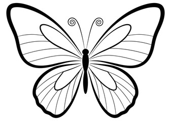 Butterfly illustration in black and white line art showing symmetrical wings, spiral antennae, and intricate venation-inspired wing patterns