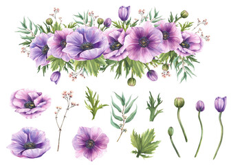Anemone Purple flower with eucalyptus branches and all floral and plant elements bouquet set. Watercolor Pink gypsophila buds, green leaves. Isolated hand drawn illustration for greeting, wedding card © Bartol_art