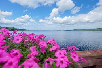 View of the lake from the pier. Blurry surfini flowers in the foreground. Lake Zarnowieckie, Kashubia, Nadole, Poland.