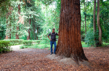 Fototapeta premium A man stands in front of a large tree