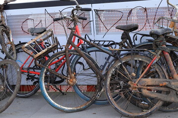 Bicycles Fished Out of the Water in Amsterdam, Netherlands