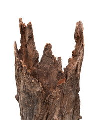 Closeup of weathered tree stump with rugged isolated on white background