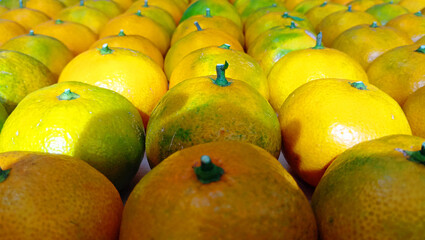 とれたての蜜柑（みかん）