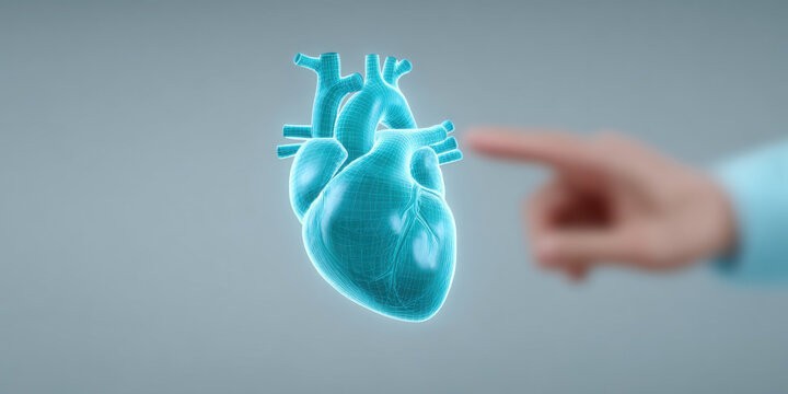 A detailed blue wireframe rendering of a human heart floats against a light grey background A blurred human hand points towards the intricate 3D holographic organ