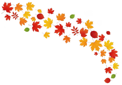 A flowing wave of colorful autumn maple leaves and small green leaves moving from left to right, isolated on transparent background