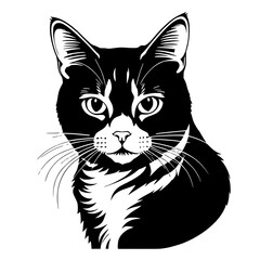 Obraz premium silhouette of a cat on white background. illustration.