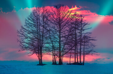 Fototapety na wymiar - Fototapeta24.pl