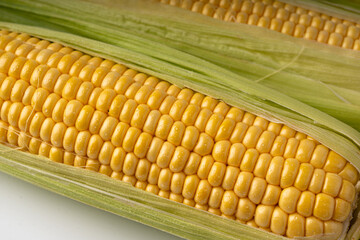Sweet corn ears closeup. Fresh maize cob macro texture, autumn sweetcorn, corncob close up