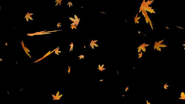 Flying autumn maple leaves falling on Isolated Leaf Overlay