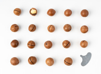 Macadamia nuts isolated. Natural raw peeled macadamia seeds and shells