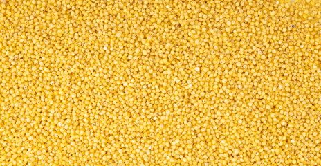Raw millet grains textured background. Little yellow cereal pattern, natural foxtail small seeds
