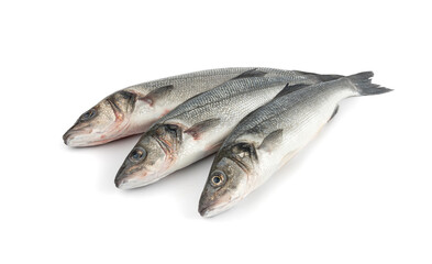European seabass or Dicentrarchus labrax, whole raw labrax, branzino fish, European bass