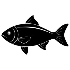 vector illustration of a fish