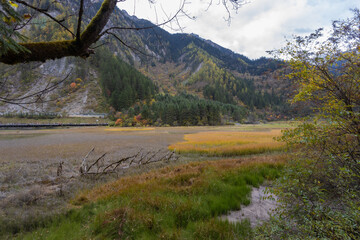 Beautiful nature in late October autumn, on the way to Arrow Bamboo Lake Waterfall, Jiuzhaigou National Park, Sichuan China