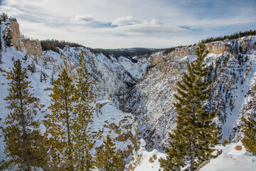 Winter Waterfall in a Snowy Canyon