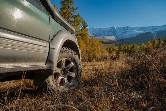Extreme close-up of a rugged mud tire on an off-road vehicle parked in an autumn forest clearing during golden hour. Snow-capped mountains under a clear blue sky in the distance. - Powered by Adobe