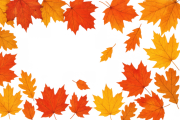 Autumn season leaves creating a vibrant yellow and orange frame, bringing fall nature decor with transparent background