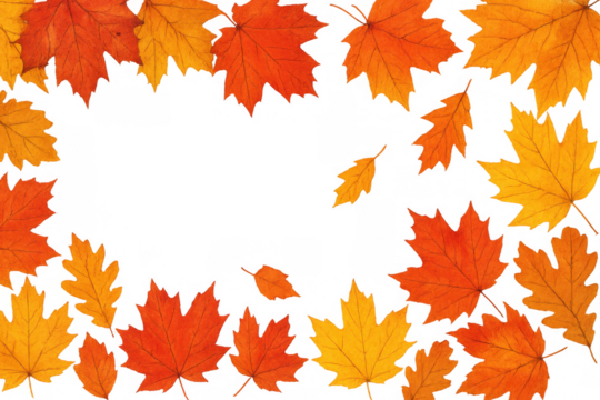 Autumn season leaves creating a vibrant yellow and orange frame, bringing fall nature decor with transparent background