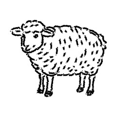 Hand Drawn Christmas Sheep Illustration