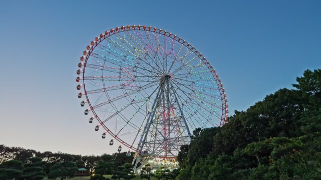 A wide angle view of the Diamond and Flower Ferris Wheel rising above the trees in Kasai Rinkai Park at dusk.